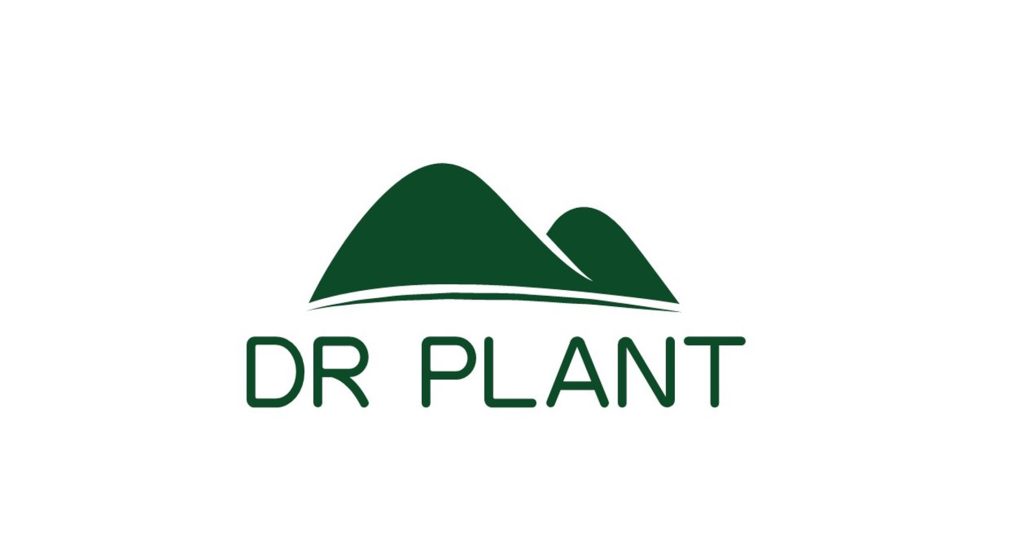 Dr. Plant