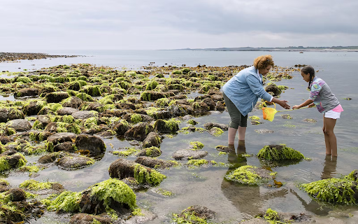 The Connection Between Biodiversity and Human Well-Being: Why It Matters