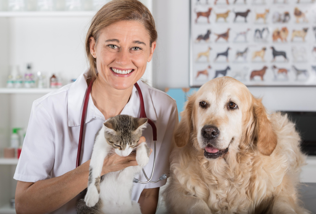 Ensuring Your Pet’s Wellbeing: A Guide to Regular Vet Visits