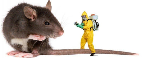 Pest Control