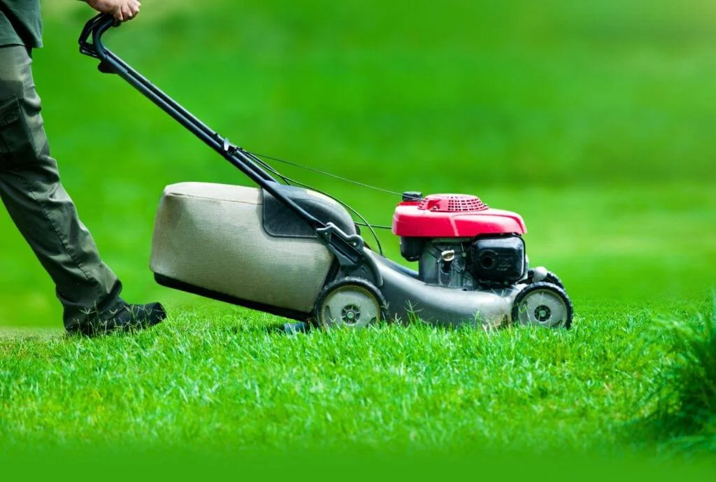 landscape gardener